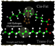 Hydrogenation and Trans Fats